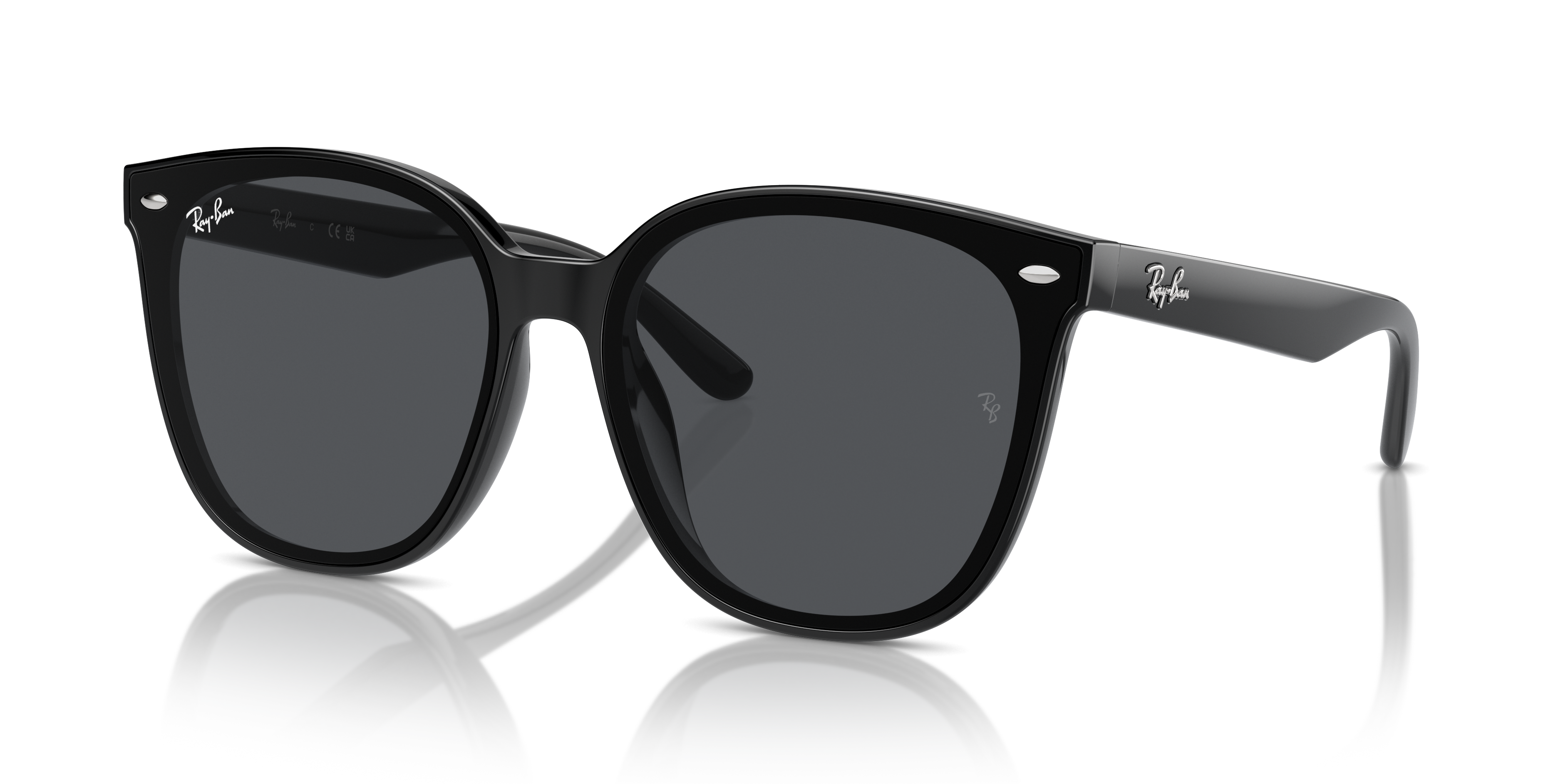 Ray Ban l  現代大方框太陽眼鏡 | 古龍黑
