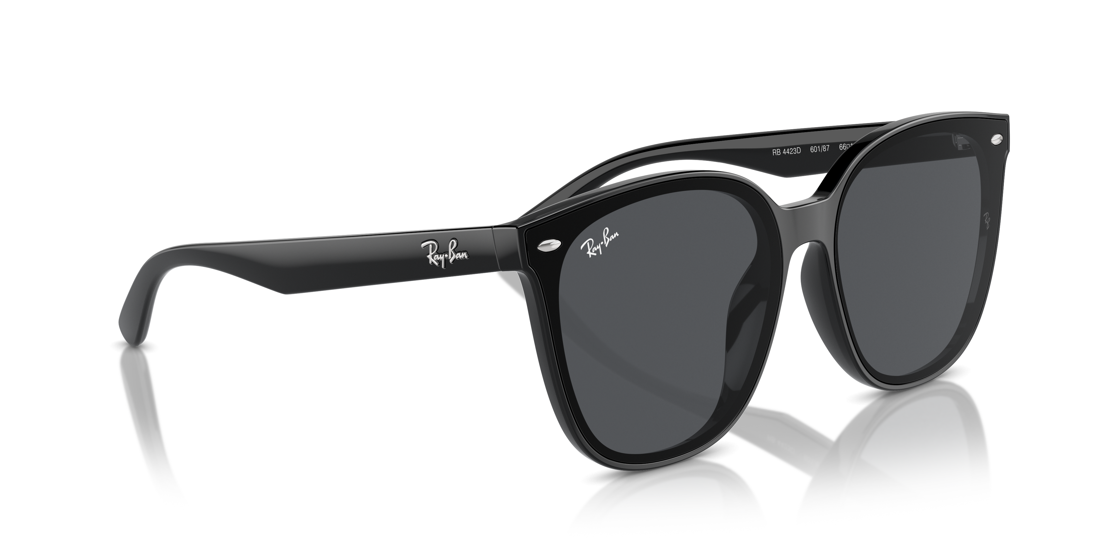 Ray Ban l  現代大方框太陽眼鏡 | 古龍黑
