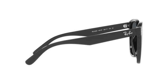 Ray Ban l 張政禹同款-魅力方框太陽眼鏡|迷霧黑