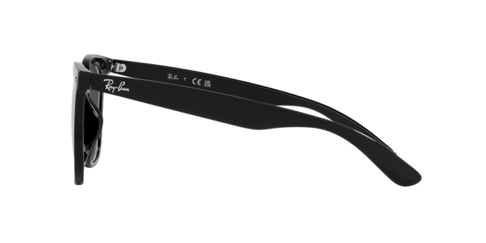 Ray Ban l 百搭撫媚蝴蝶框太陽眼鏡| 夢幻黑