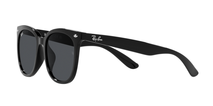 Ray Ban l 百搭撫媚蝴蝶框太陽眼鏡| 夢幻黑