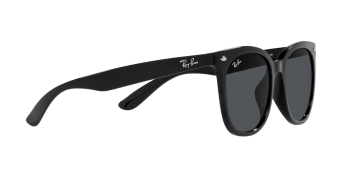 Ray Ban l 百搭撫媚蝴蝶框太陽眼鏡| 夢幻黑