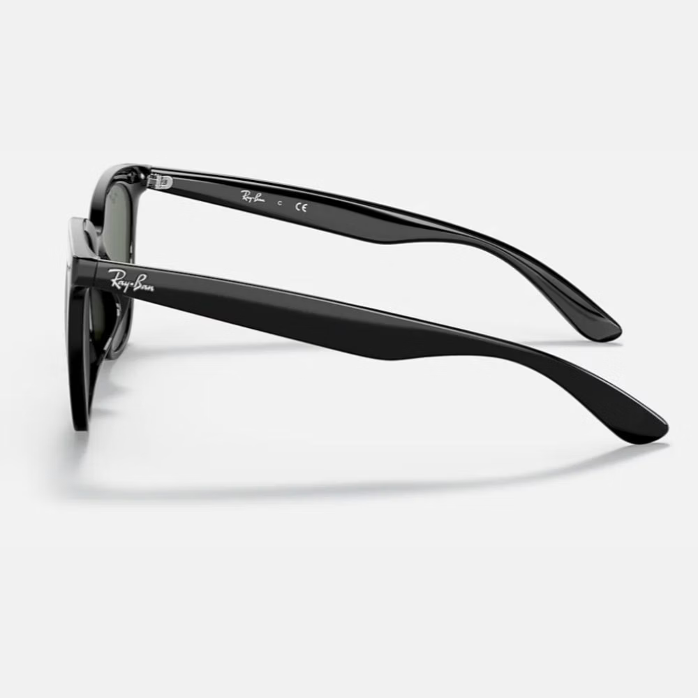 Ray Ban l 百搭撫媚蝴蝶框太陽眼鏡| 森林綠