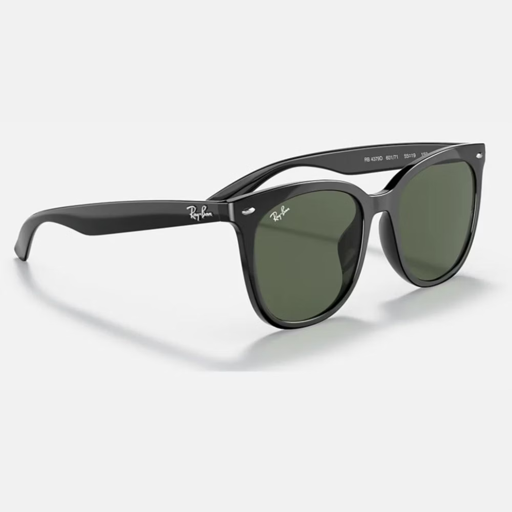 Ray Ban l 百搭撫媚蝴蝶框太陽眼鏡| 森林綠