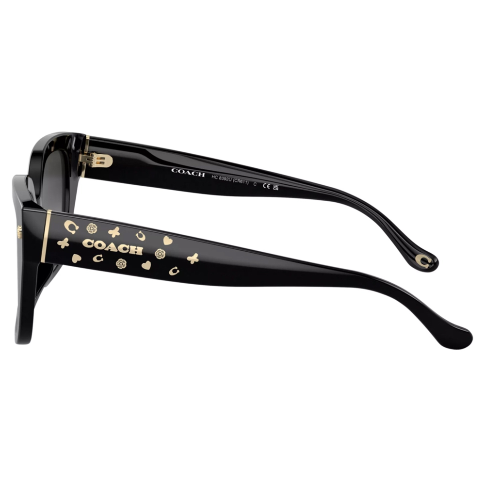 COACH|俐落粗方框太陽眼鏡|亮面黑