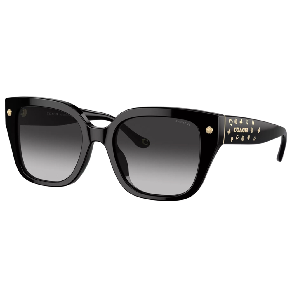 COACH|俐落粗方框太陽眼鏡|亮面黑