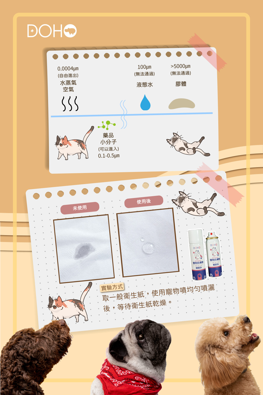 寵物皮膚噴