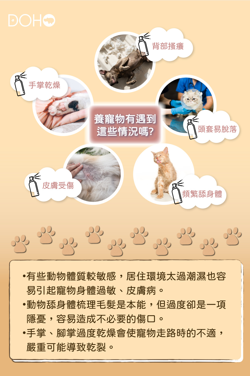 寵物皮膚噴