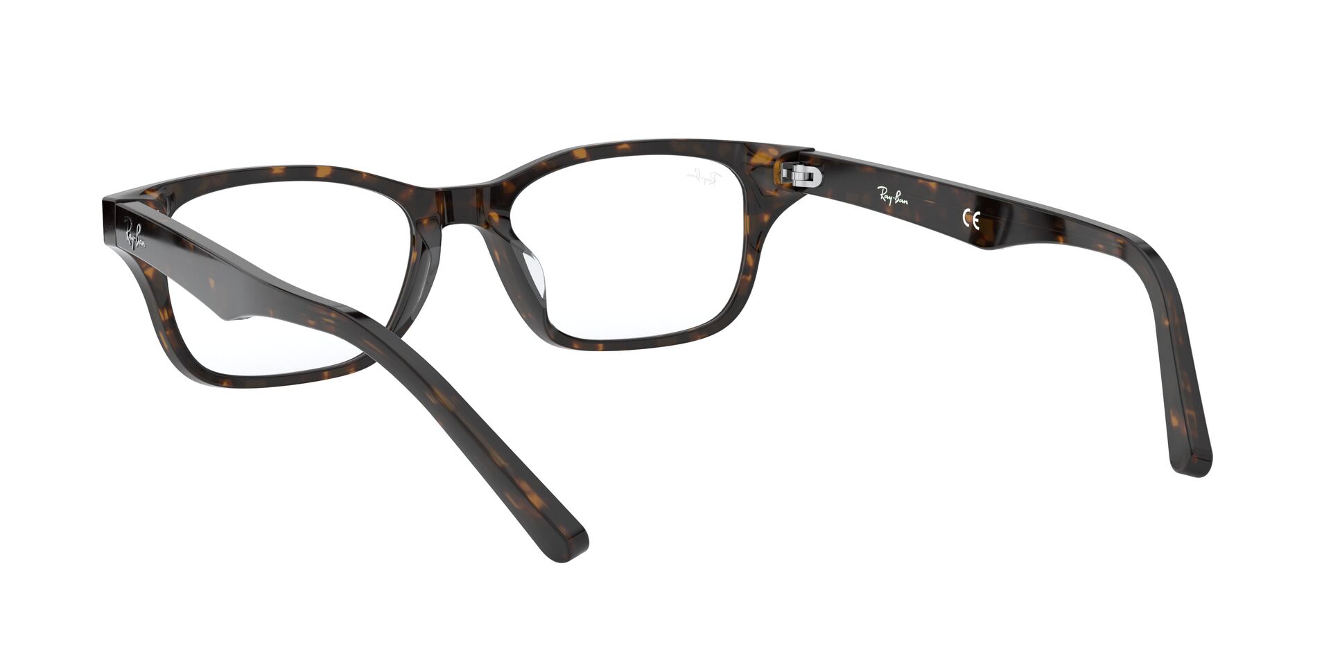 Ray Ban |瑰麗斑點方框眼鏡 |斑點瑁色