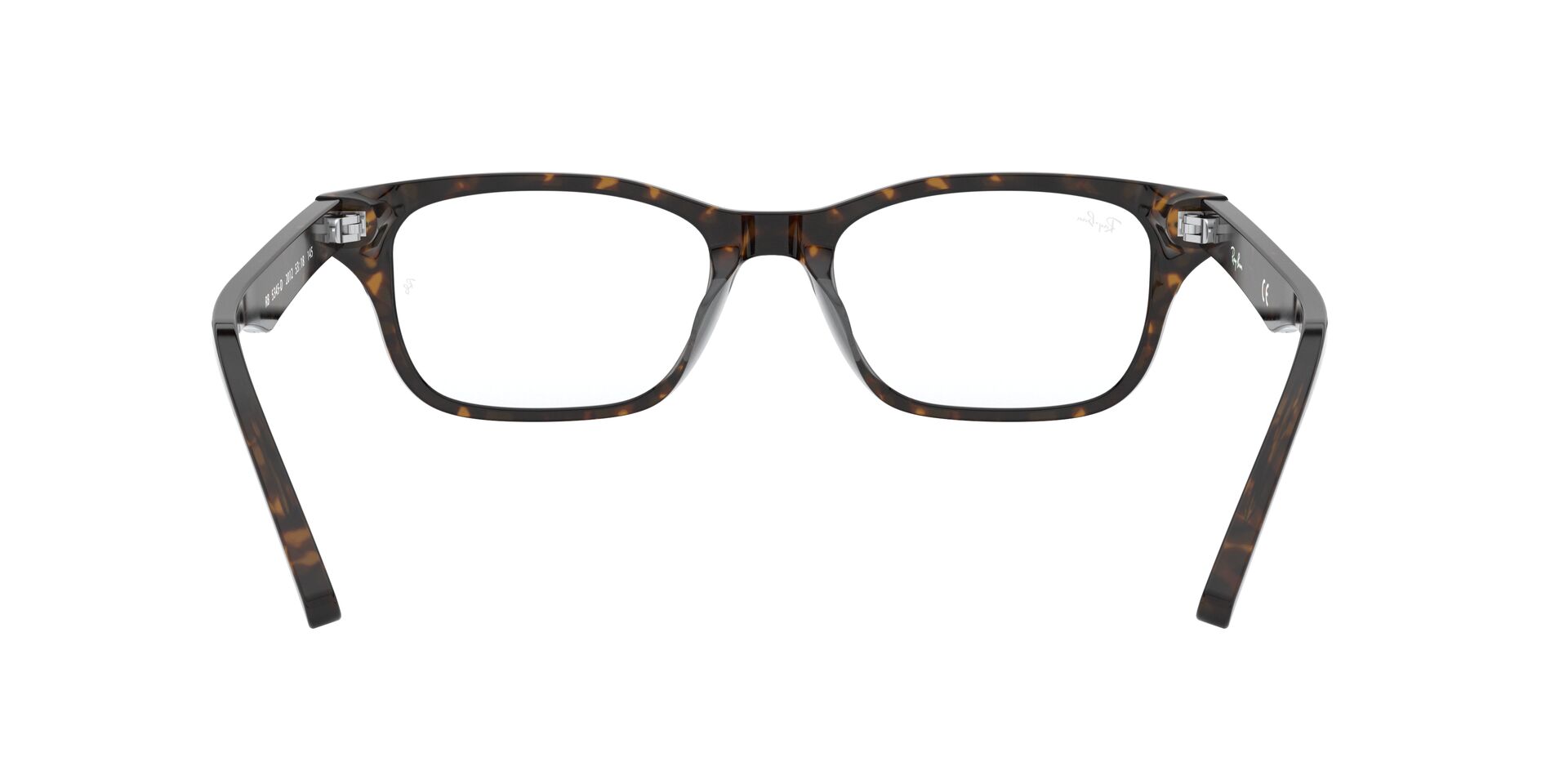 Ray Ban |瑰麗斑點方框眼鏡 |斑點瑁色