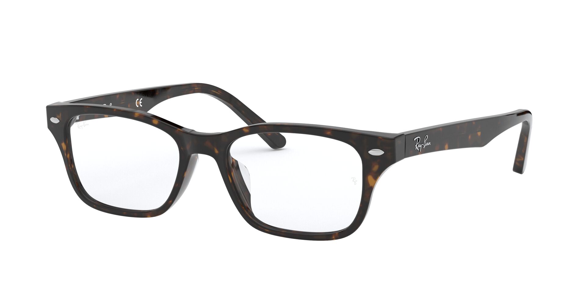Ray Ban |瑰麗斑點方框眼鏡 |斑點瑁色