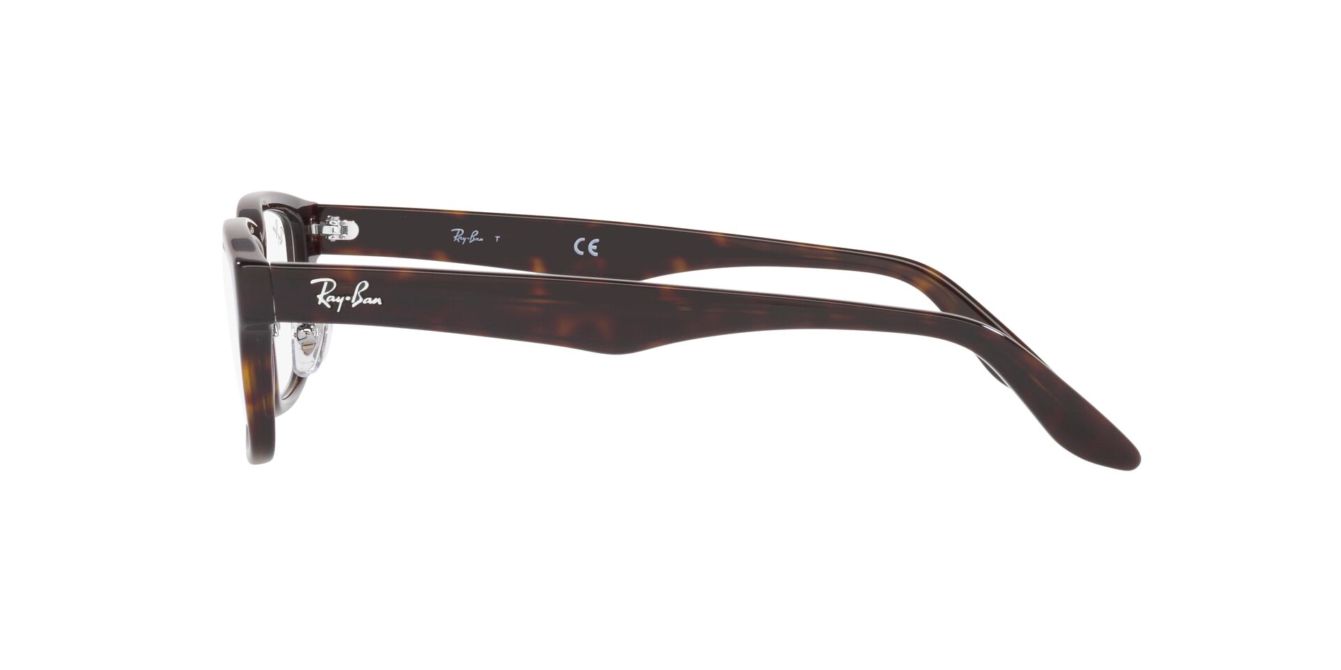 Ray Ban |現代古韻方框眼鏡 |虎色斑