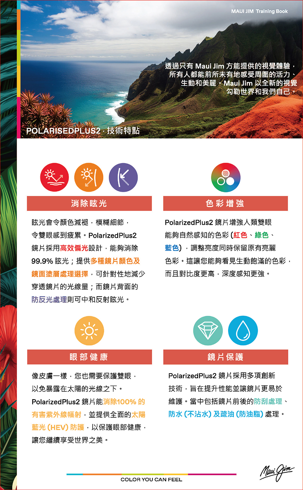 Maui Jim |秘密任務長方粗框太陽眼鏡 |特務黑