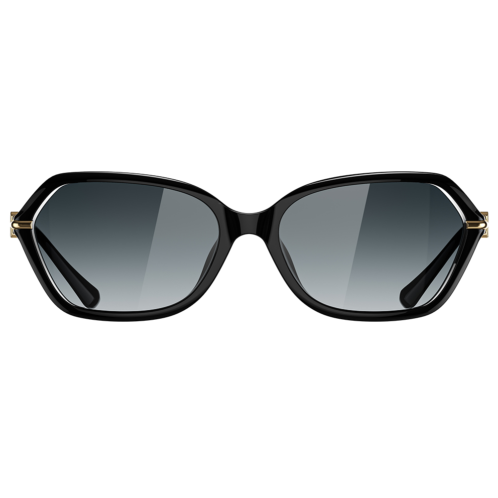 Helen Keller 稜線多邊框太陽眼鏡 零點黑