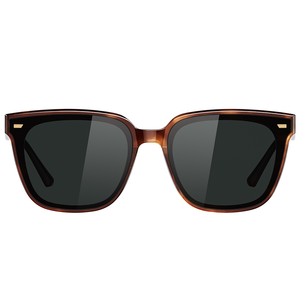 Helen Keller 純色邊界大方框太陽眼鏡 煙茶棕