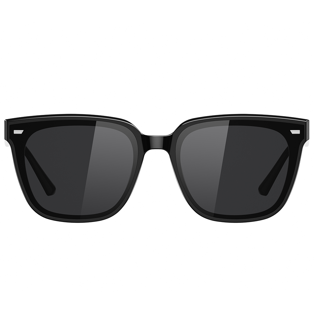 Helen Keller 純色邊界大方框太陽眼鏡 深靜黑