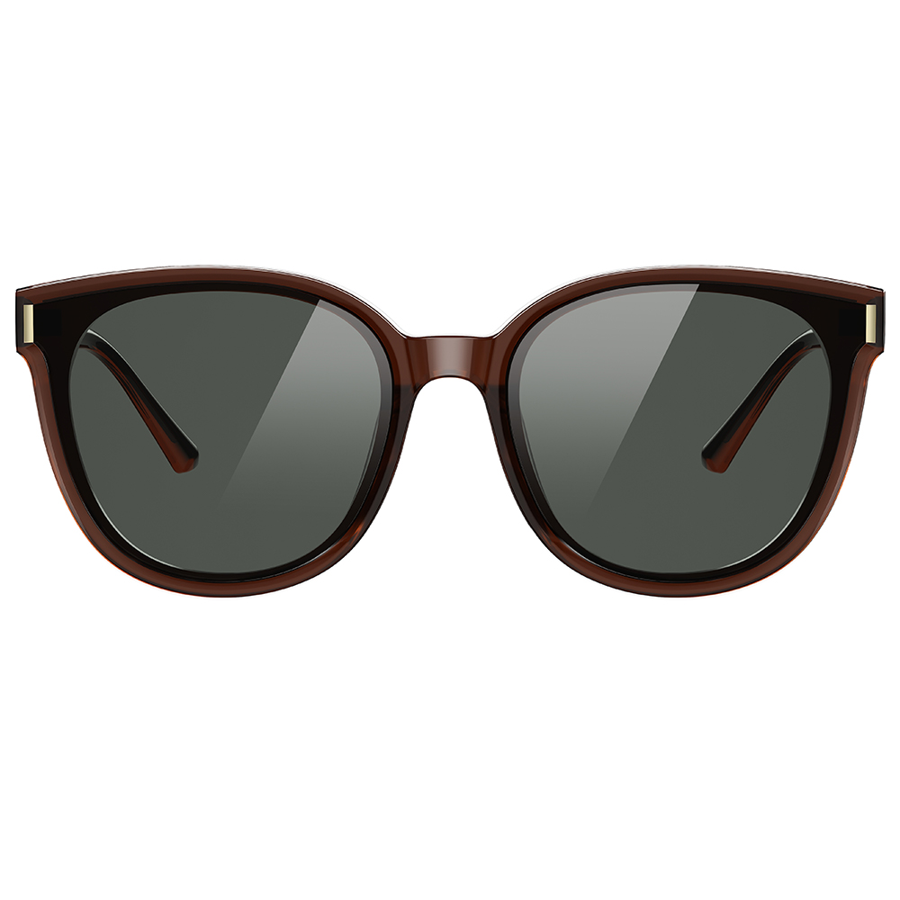 Helen Keller 輪廓感波士頓框太陽眼鏡 焦糖棕