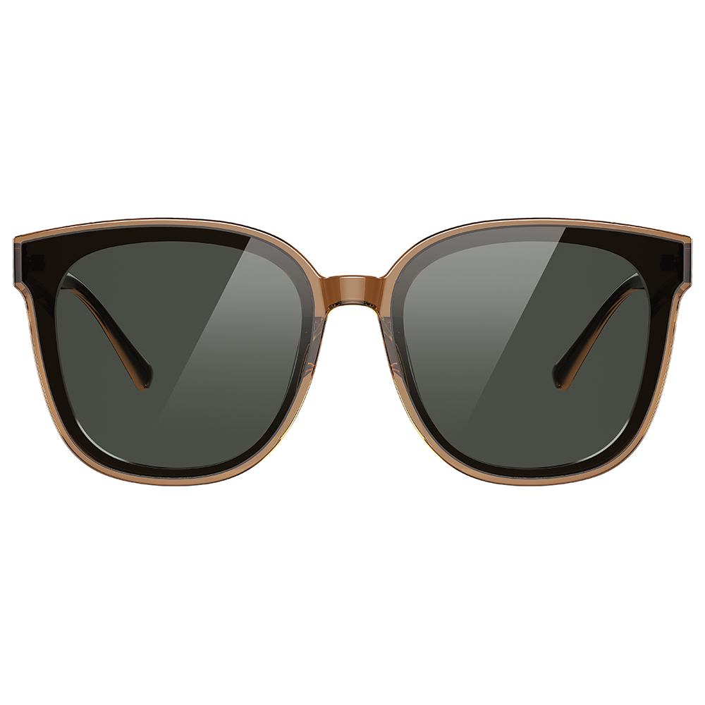 Helen Keller 單色時區大方框太陽眼鏡 午後棕