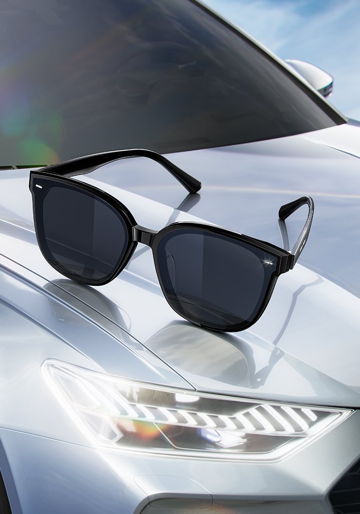 Helen Keller 夏日微光大方框太陽眼鏡 日映黑