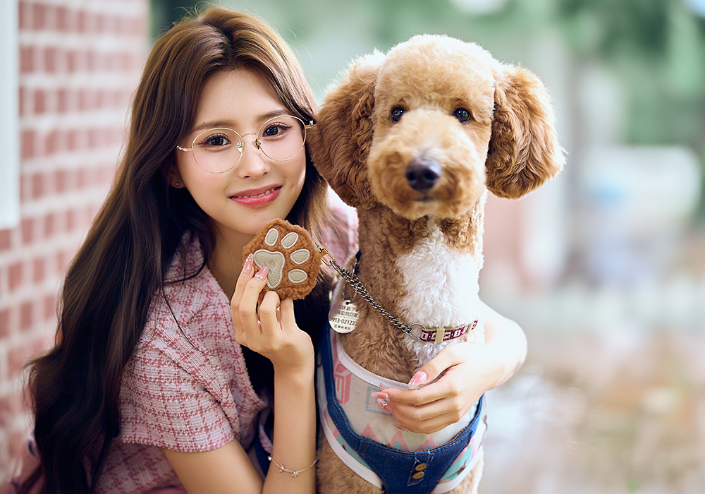 K-DESIGN動物聯萌 | 金毛小跟班 圓框眼鏡 | 柔和金