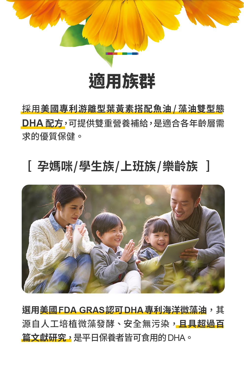 寶瑞DHA＋葉黃素（雙型態）60顆