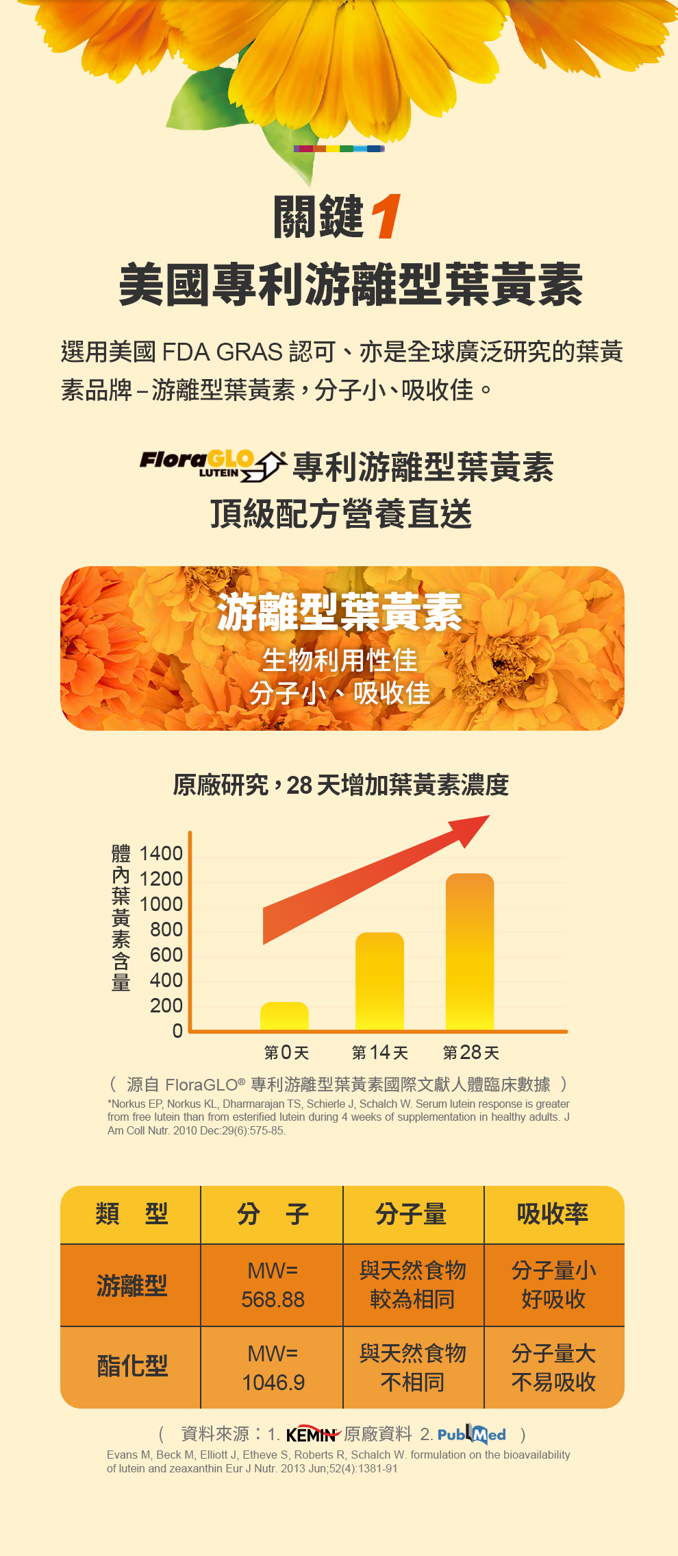 寶瑞DHA＋葉黃素（雙型態）60顆