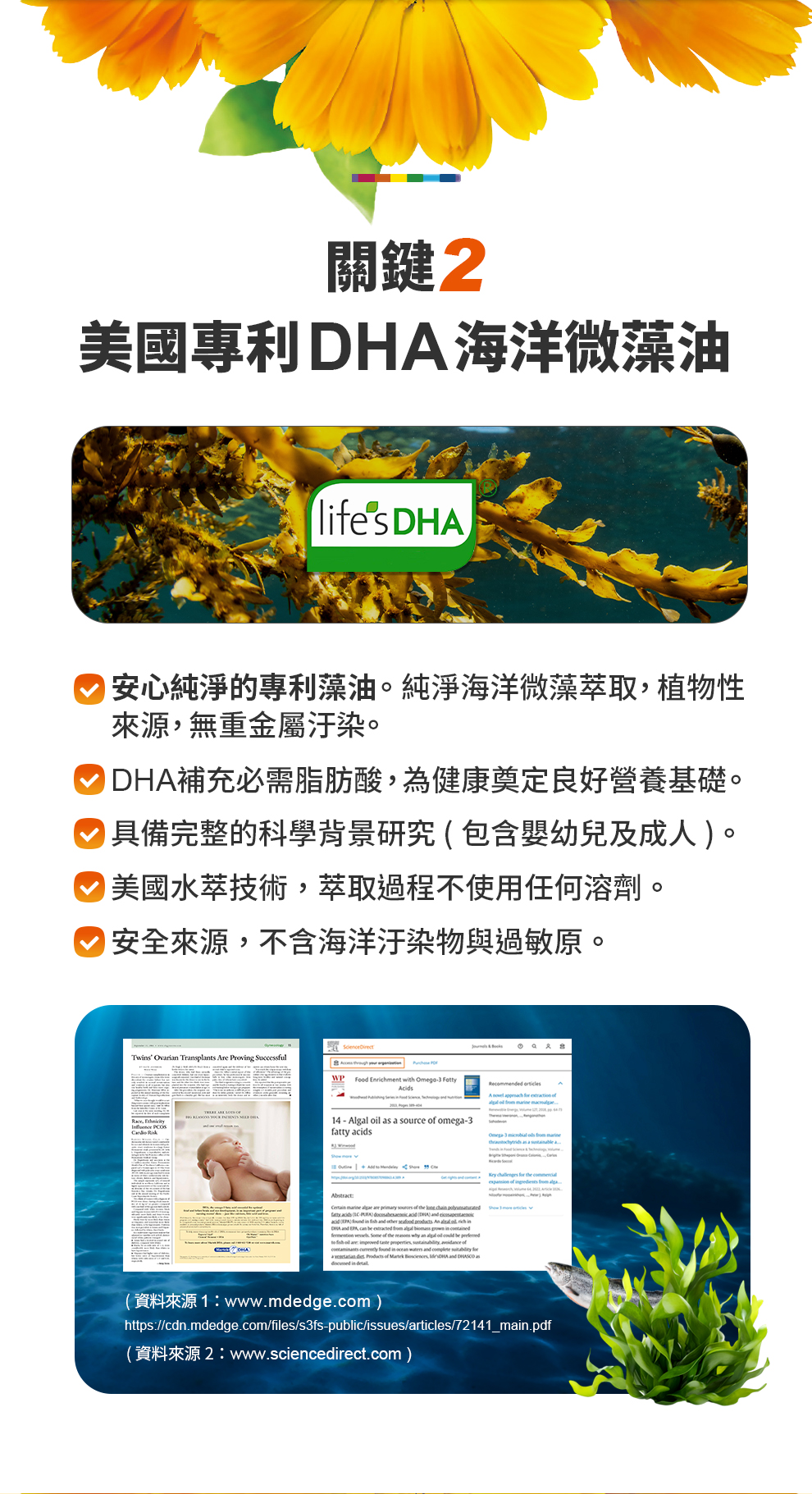 寶瑞DHA＋葉黃素（雙型態）60顆