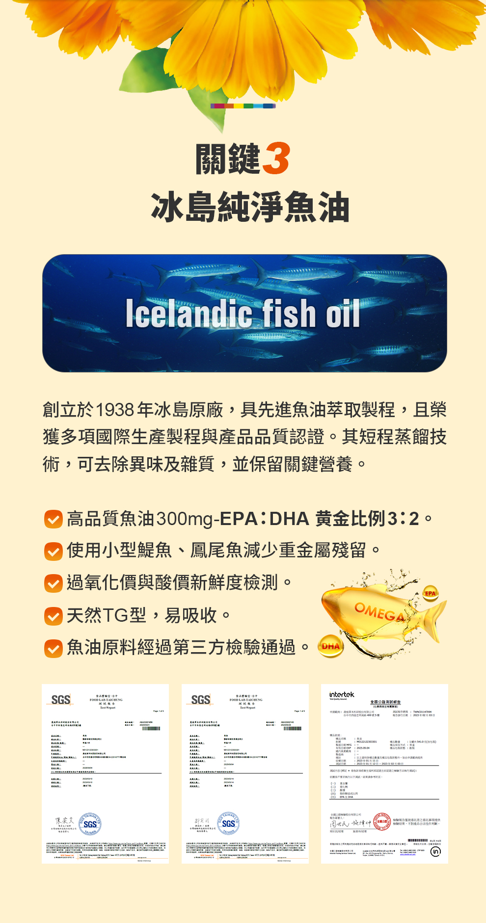 寶瑞DHA＋葉黃素（雙型態）60顆