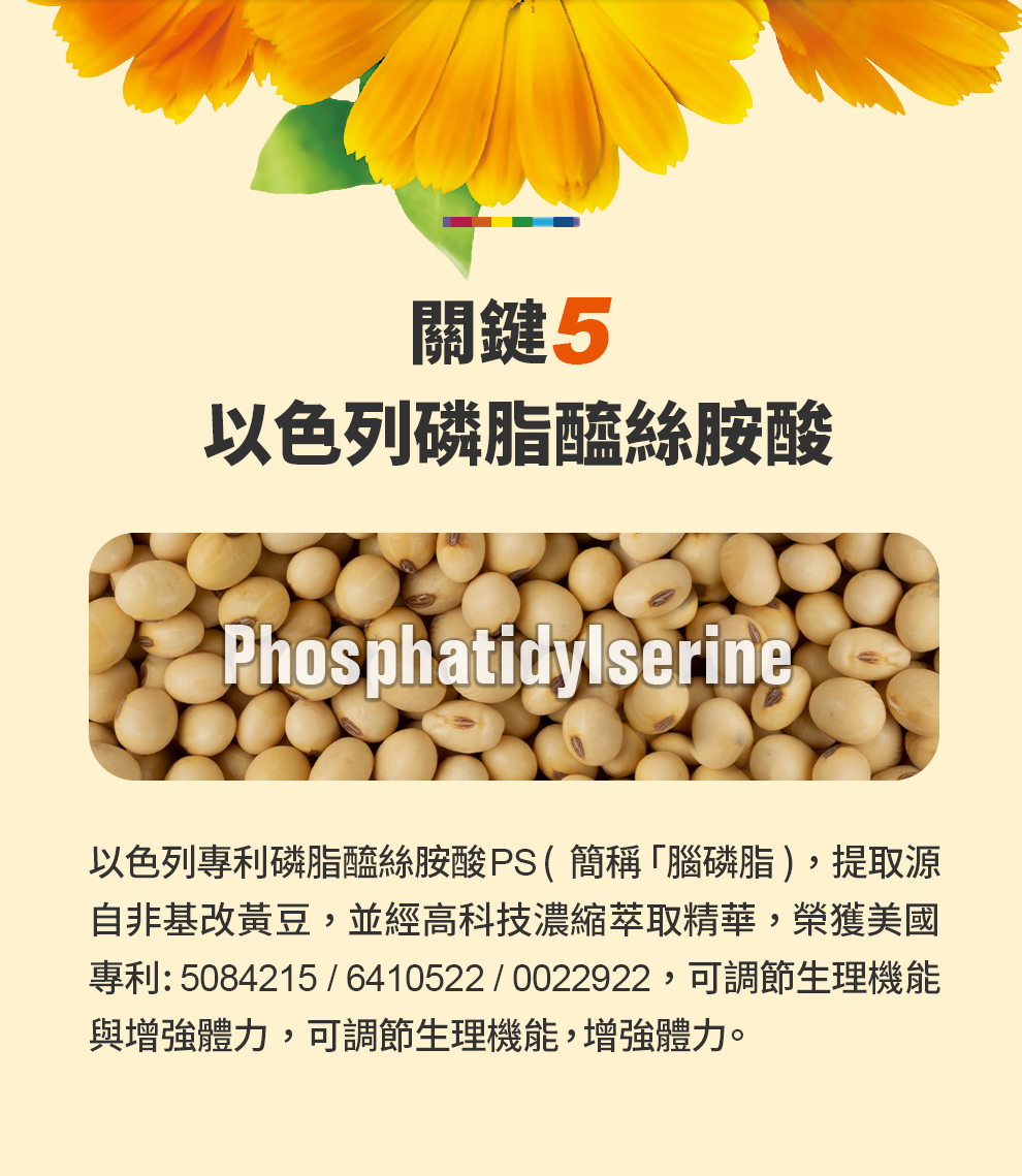 寶瑞DHA＋葉黃素（雙型態）60顆