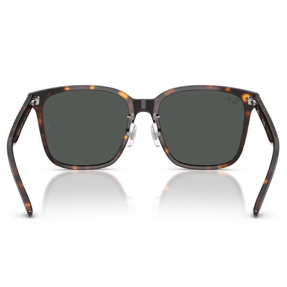 Ray Ban l 拓野者方框太陽眼鏡 | 玳瑁咖