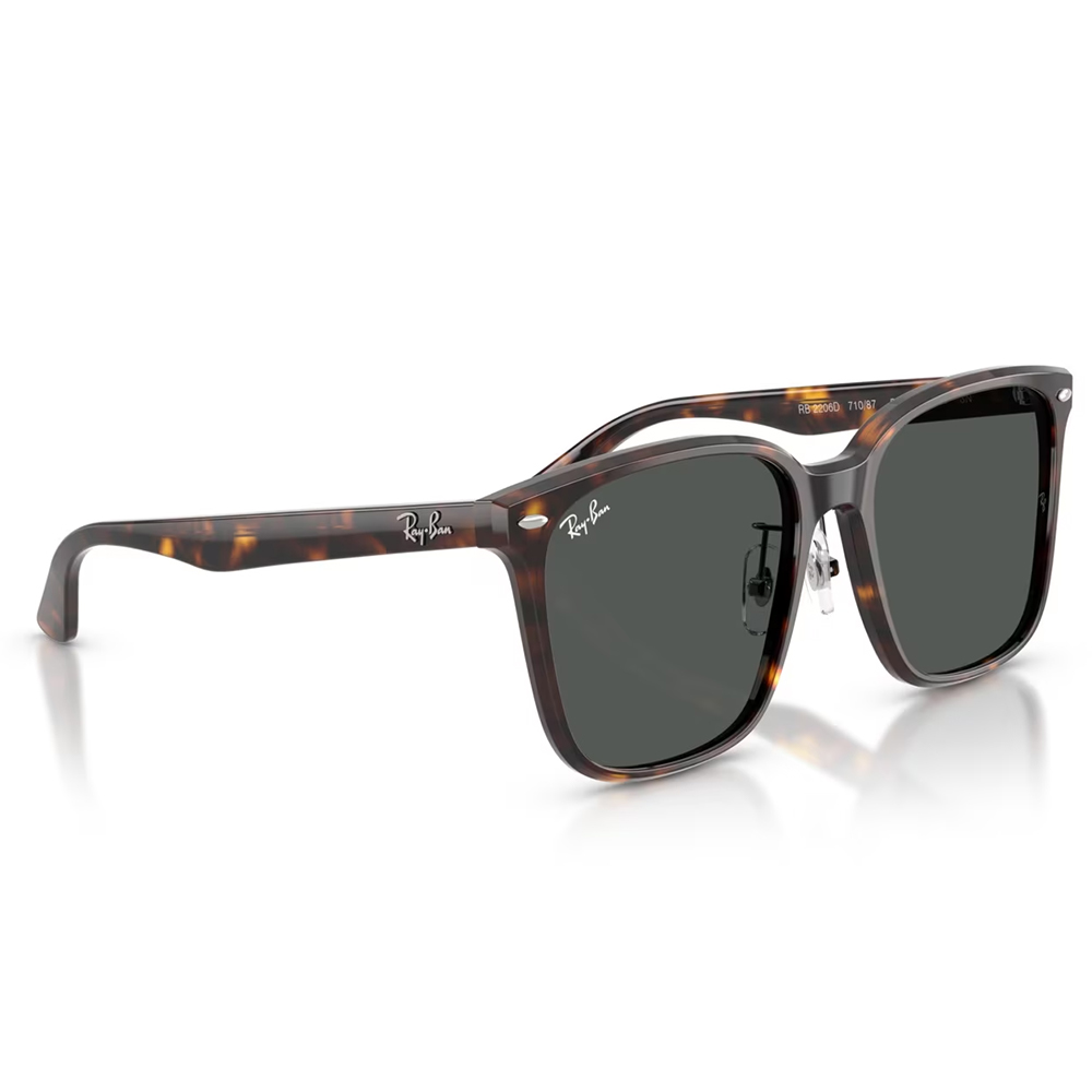 Ray Ban l 拓野者方框太陽眼鏡 | 玳瑁咖