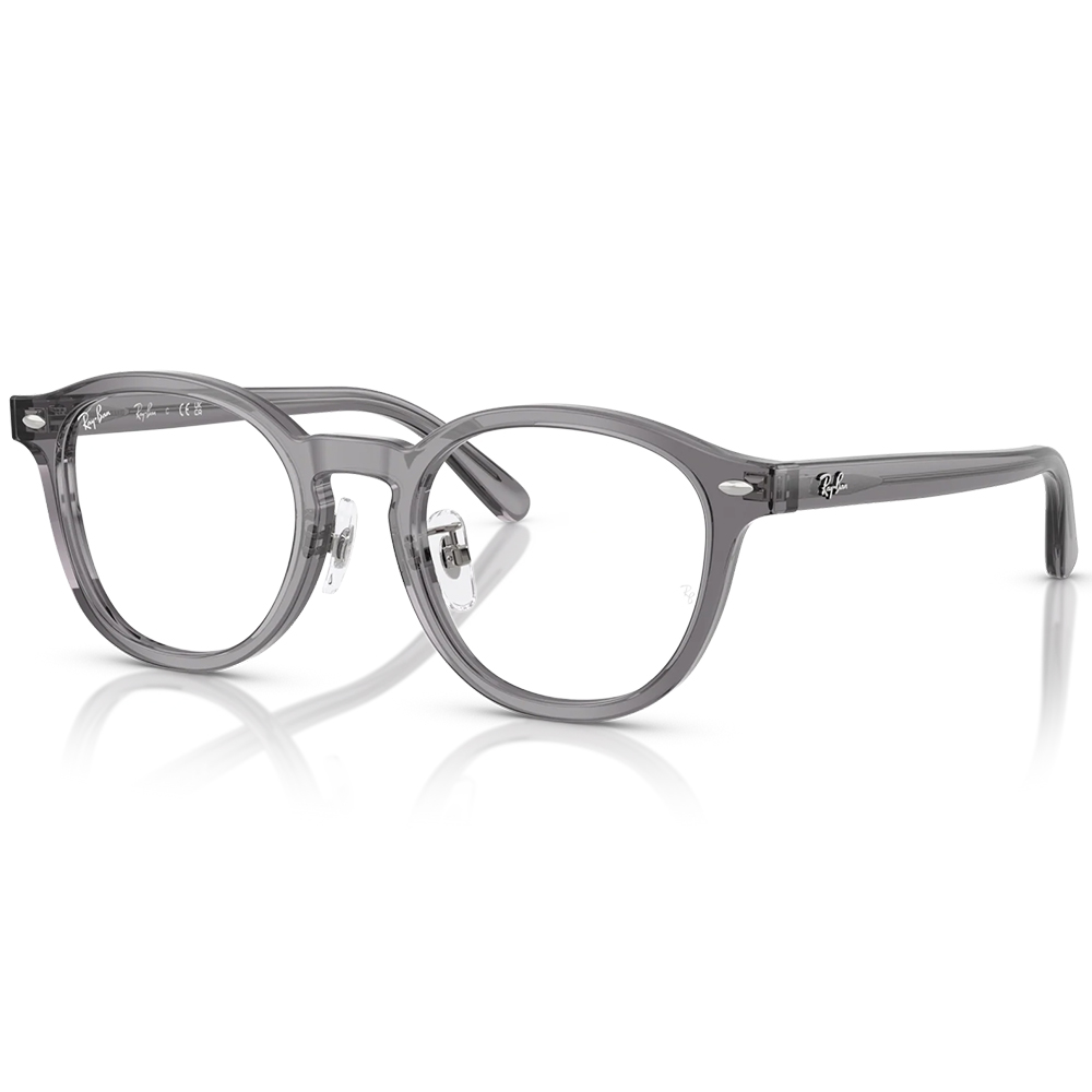 Ray Ban | 學者風範圓框眼鏡 | 冷透灰