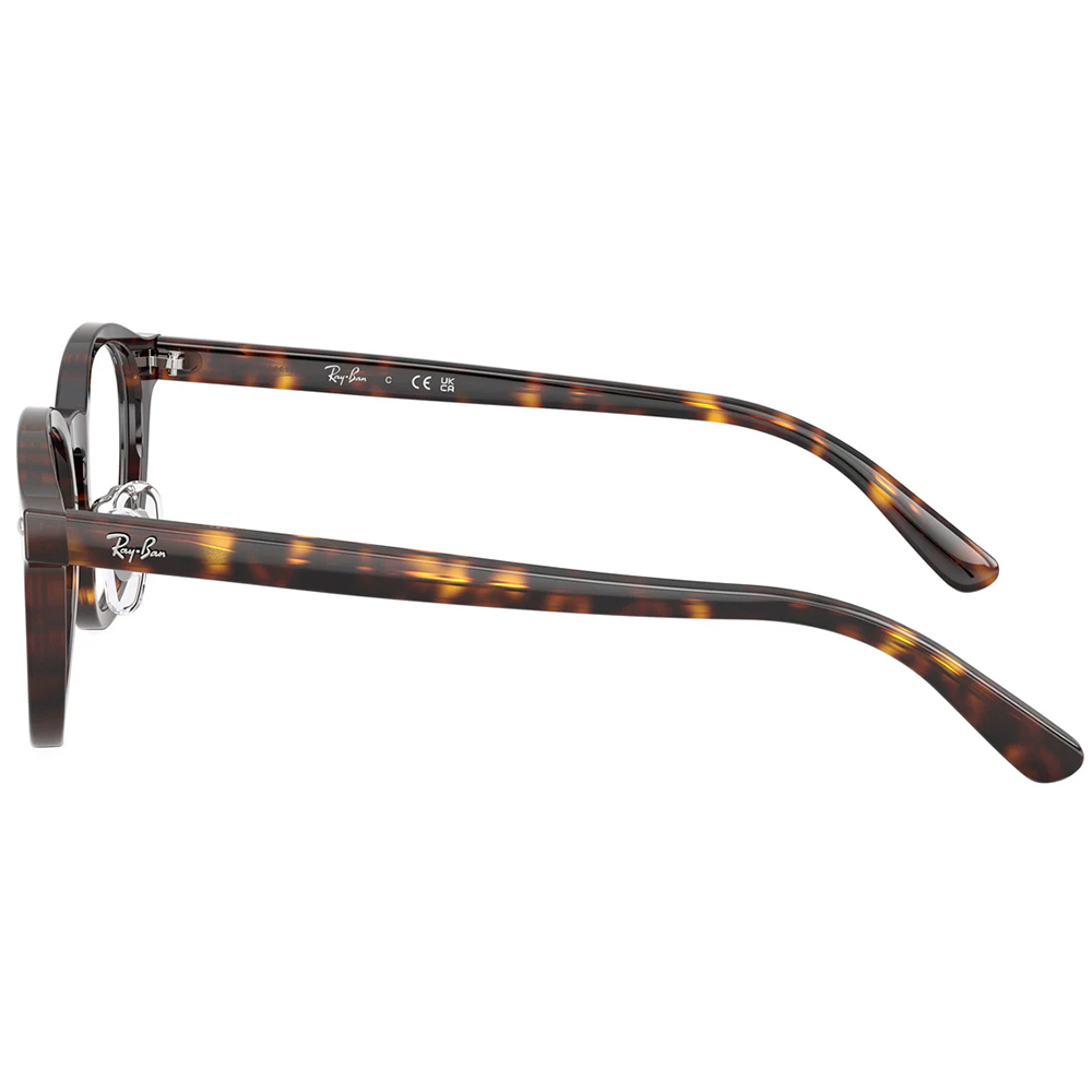 Ray Ban | 學者風範圓框眼鏡 | 玳瑁咖