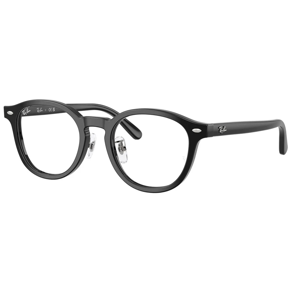 Ray Ban | 學者風範圓框眼鏡 | 工藝黑