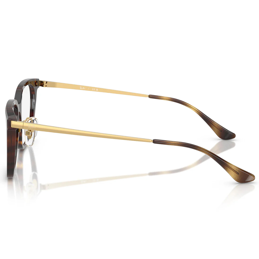 Ray Ban | 自由典章大方框眼鏡 | 玳瑁X金