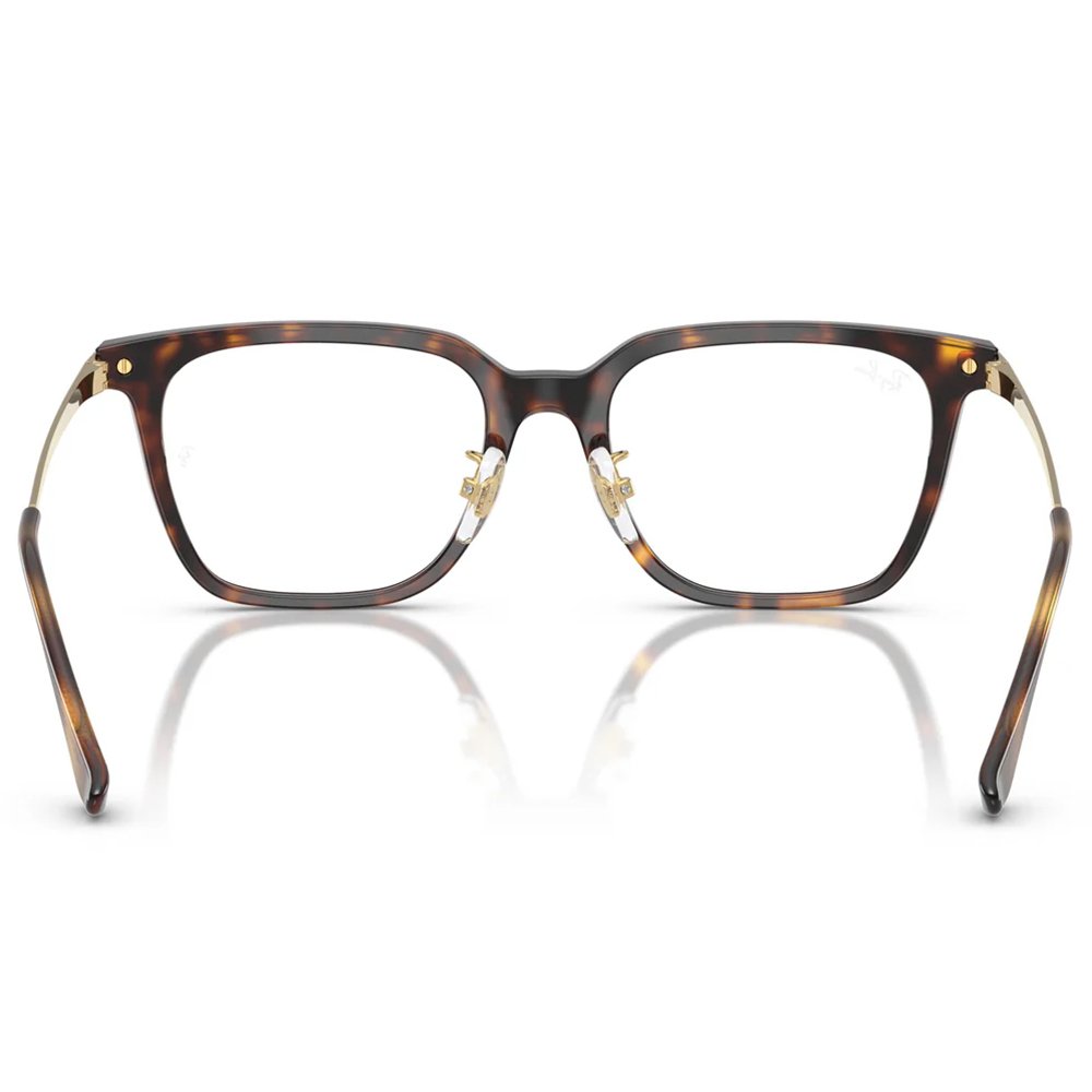 Ray Ban | 自由典章大方框眼鏡 | 玳瑁X金