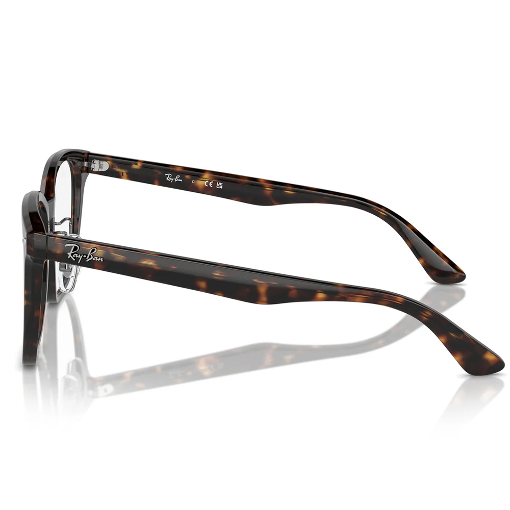 Ray Ban | 潮流書閣大方框眼鏡 | 玳瑁深棕