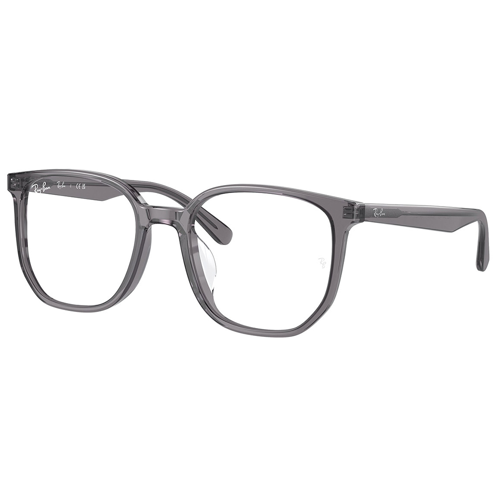 Ray Ban | 墨序大方框眼鏡 | 透灰