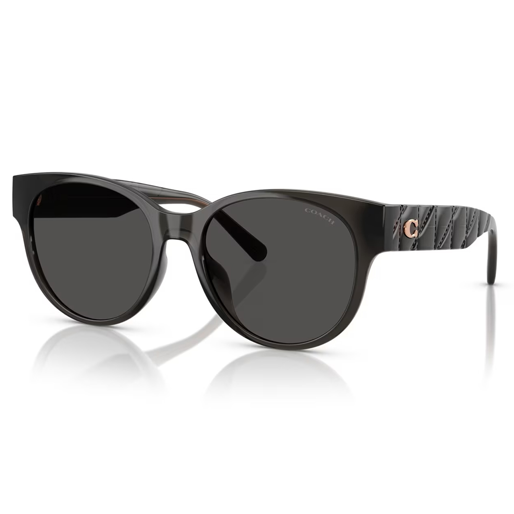 COACH | 雅致態度圓框太陽眼鏡 | 微透灰