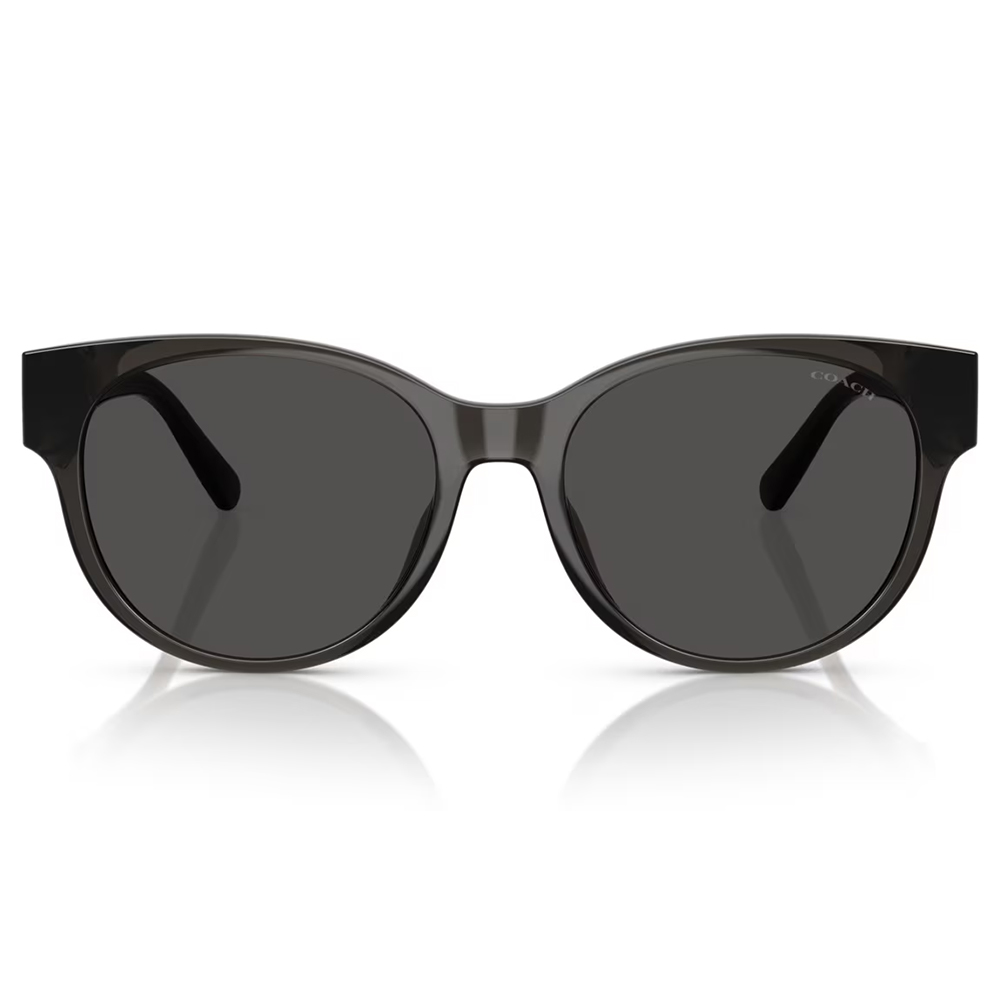 COACH | 雅致態度圓框太陽眼鏡 | 微透灰