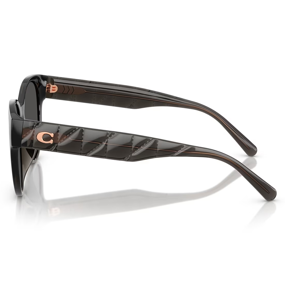 COACH | 雅致態度圓框太陽眼鏡 | 微透灰