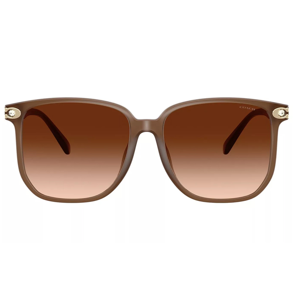 COACH | 暮色之境大方框太陽眼鏡 | 絕美棕