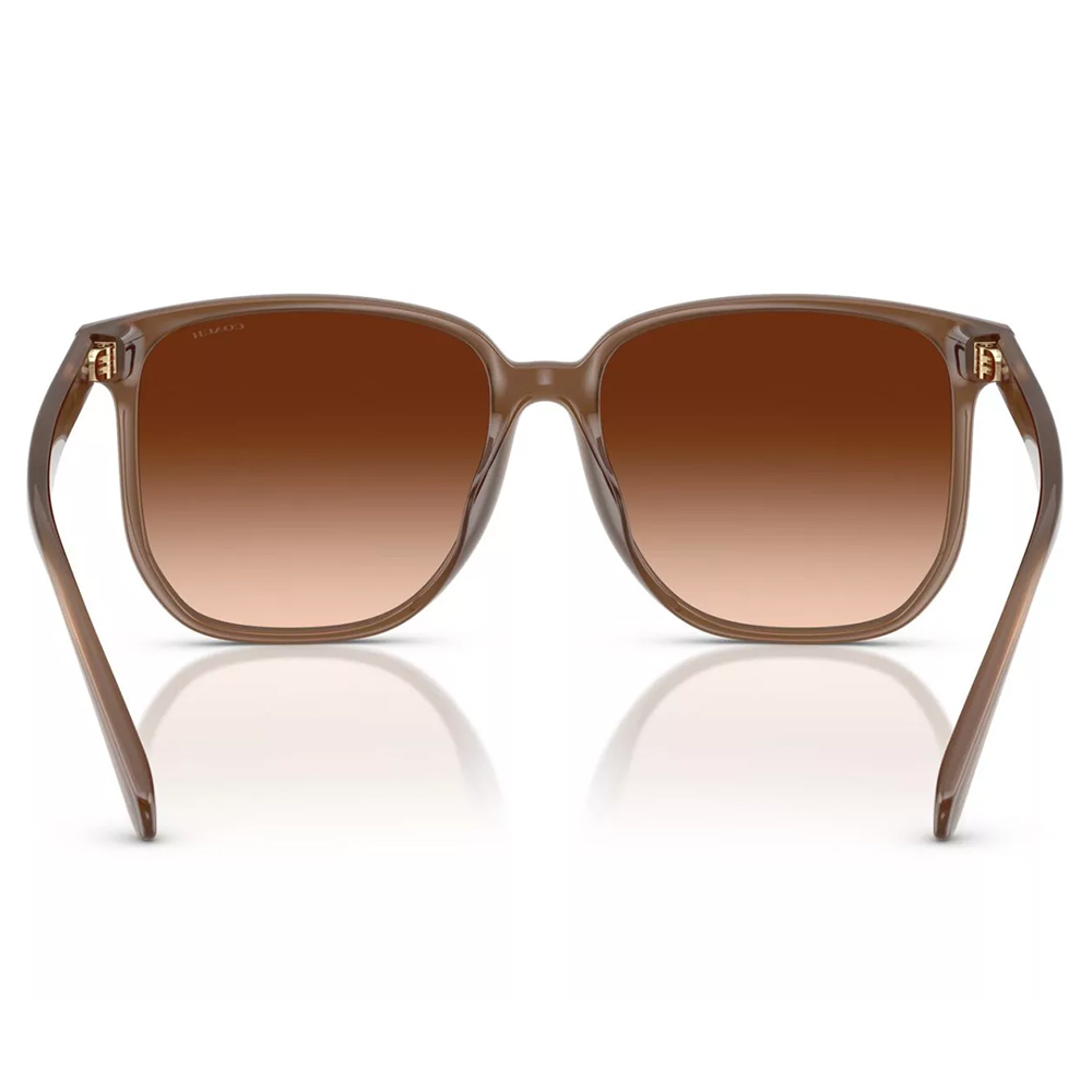 COACH | 暮色之境大方框太陽眼鏡 | 絕美棕