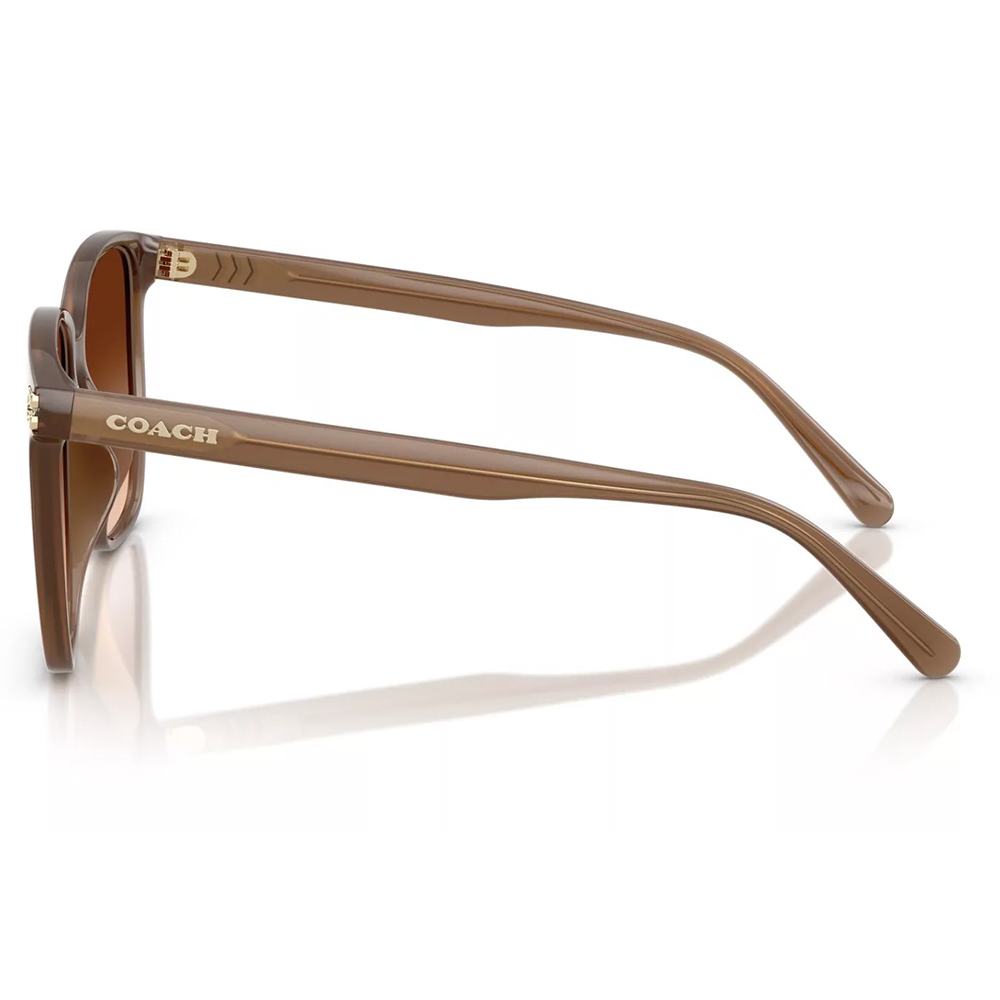 COACH | 暮色之境大方框太陽眼鏡 | 絕美棕