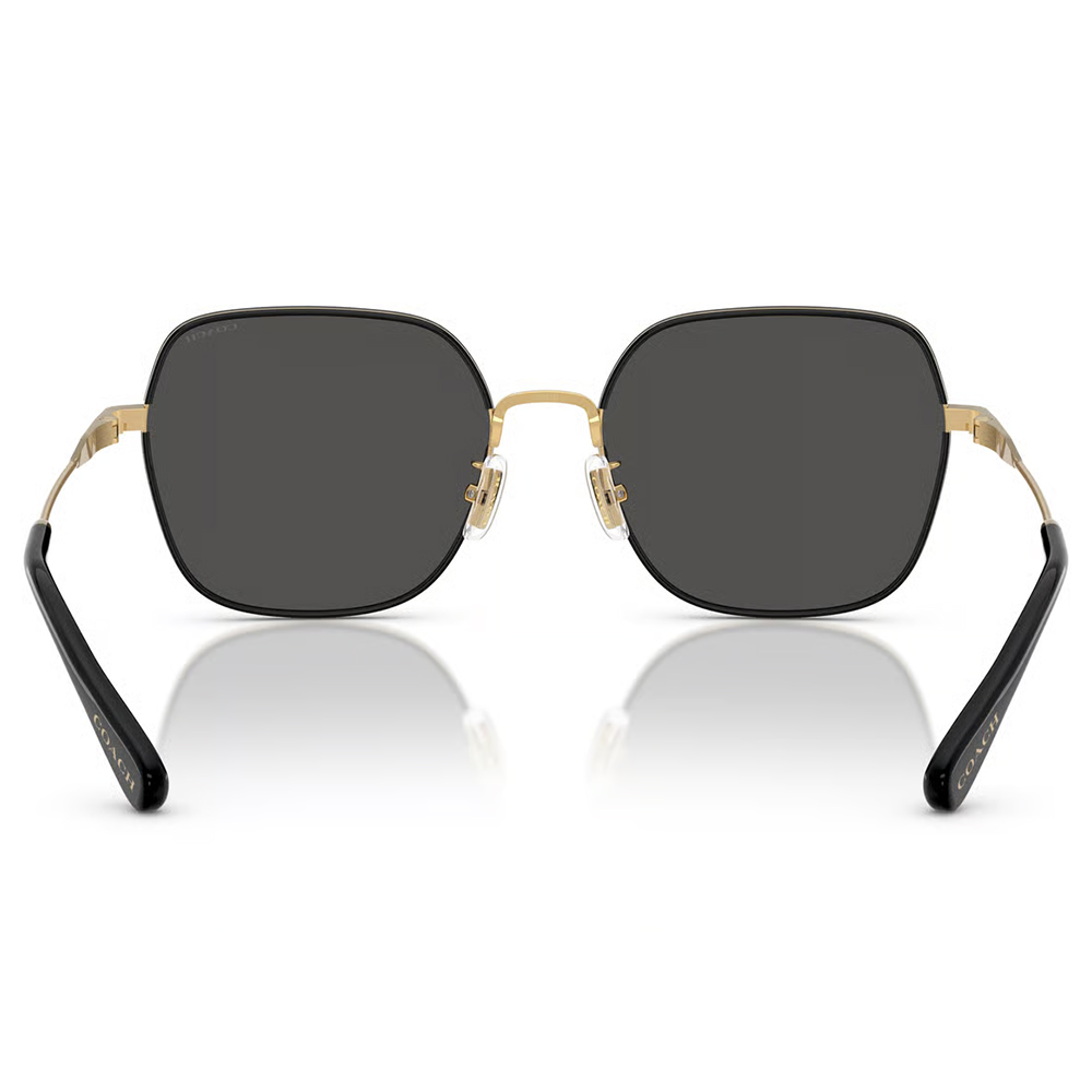 COACH | 光韻年華多邊框太陽眼鏡 | 黑X金