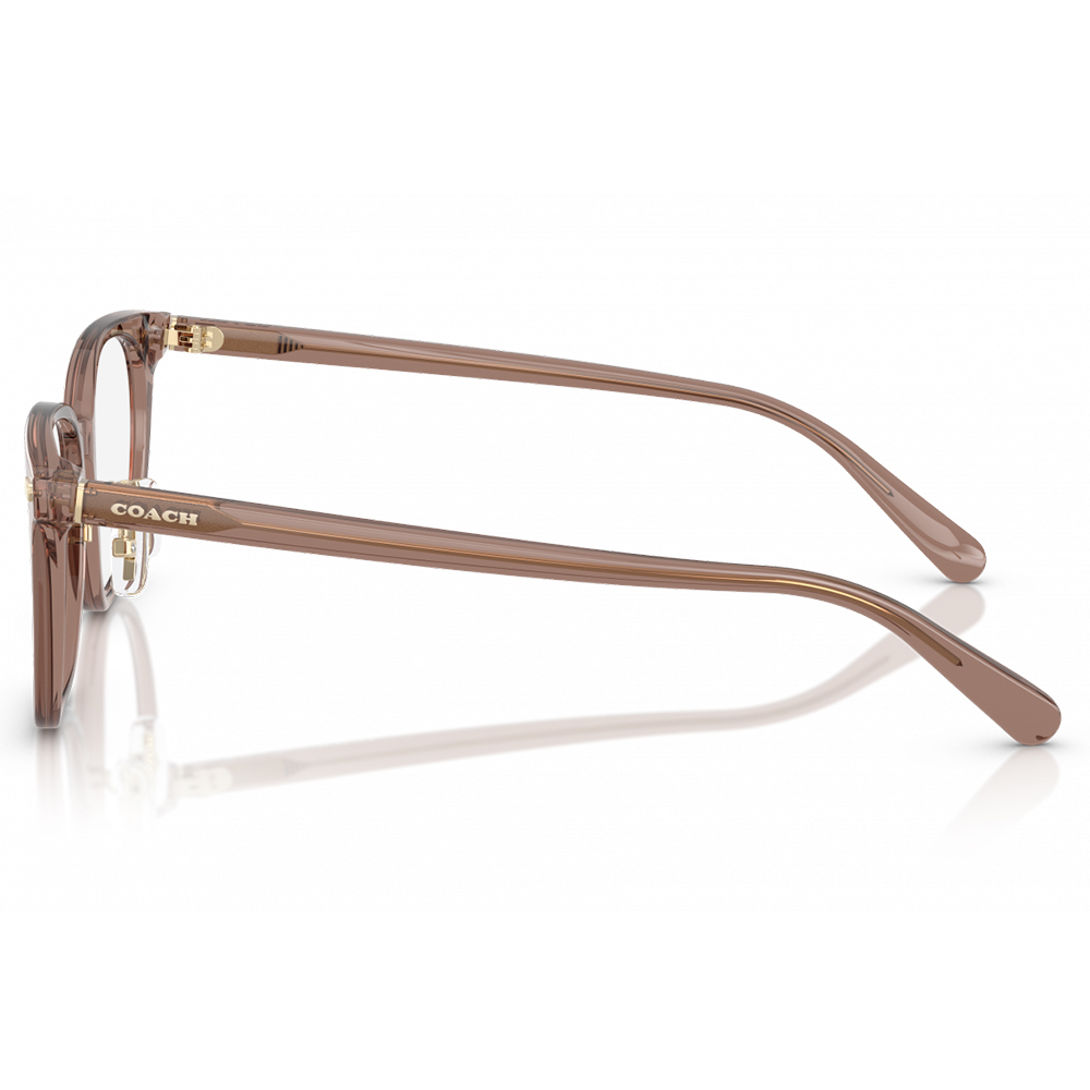 COACH | 極簡輪廓方框眼鏡 | 琉璃棕