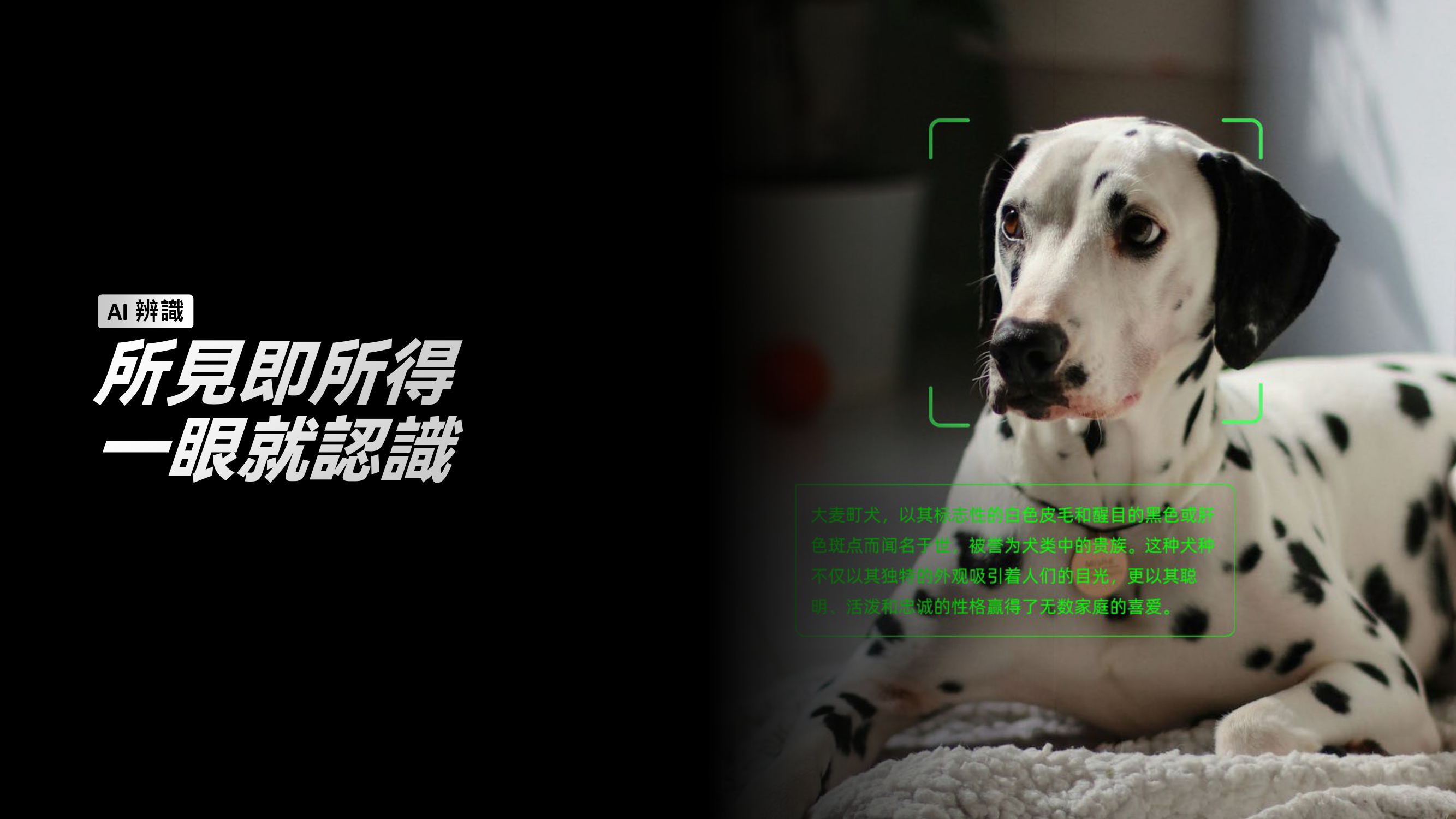 Rokid 樂奇 | AI智慧眼鏡 | 曜黑