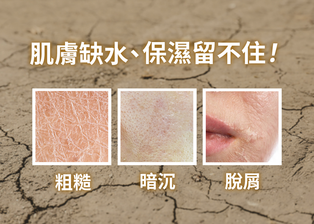 【PEZRI派翠】雪絨花亮采保濕精華35ml